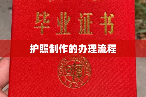 南宫护照制作的办理流程